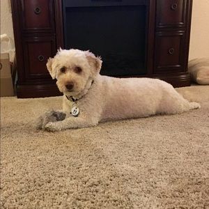 Meet your Posher, Brittany